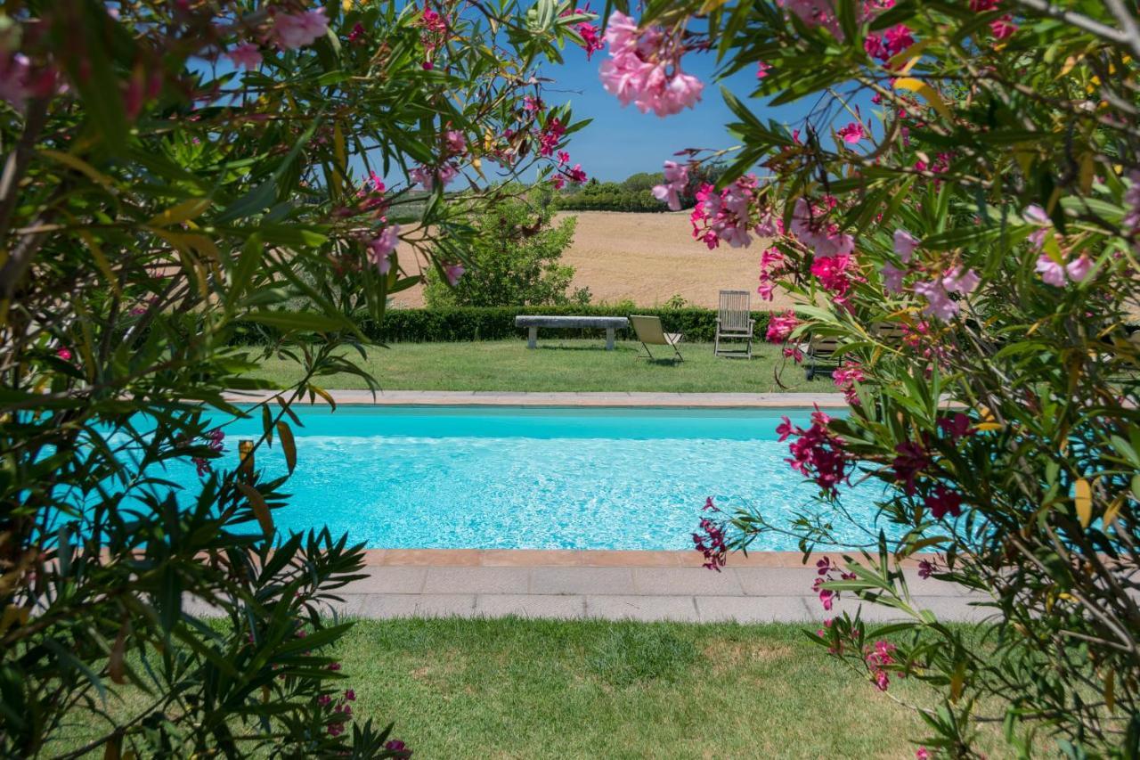 Villa La Lodola Foiano Della Chiana Eksteriør bilde